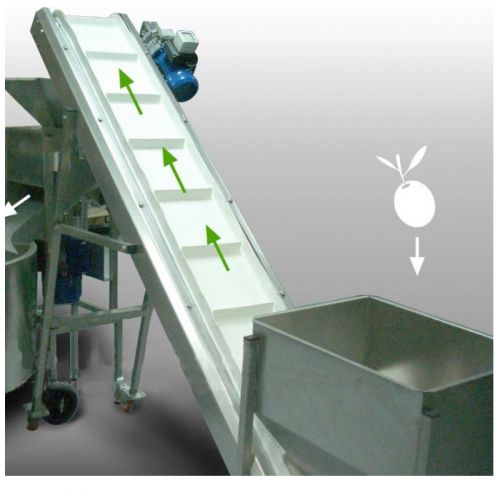 Bande transporteuse pour olives