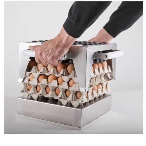 Dateur pour œufs de poule